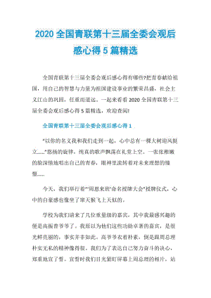 2020全国青联第十三届全委会观后感心得5篇精选.doc