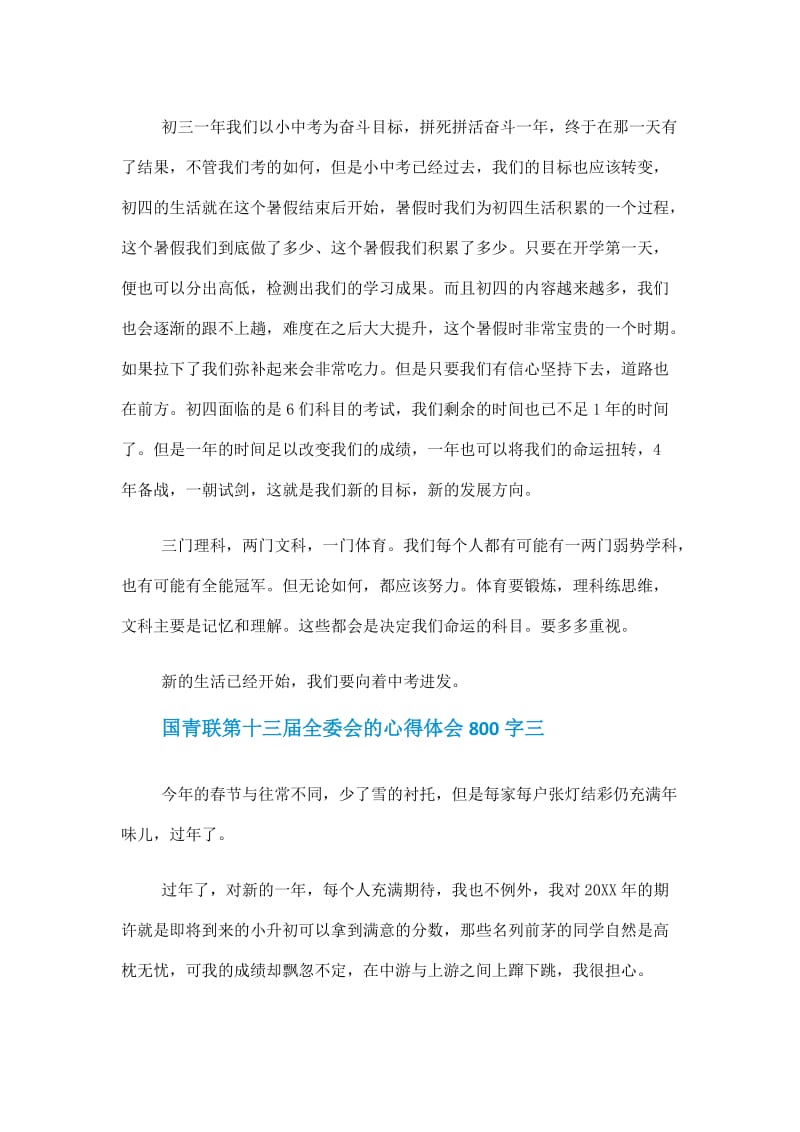 全国青联第十三届全委会的心得体会800字5篇作文.doc_第3页