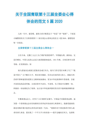 关于全国青联第十三届全委会心得体会的范文5篇2020.doc