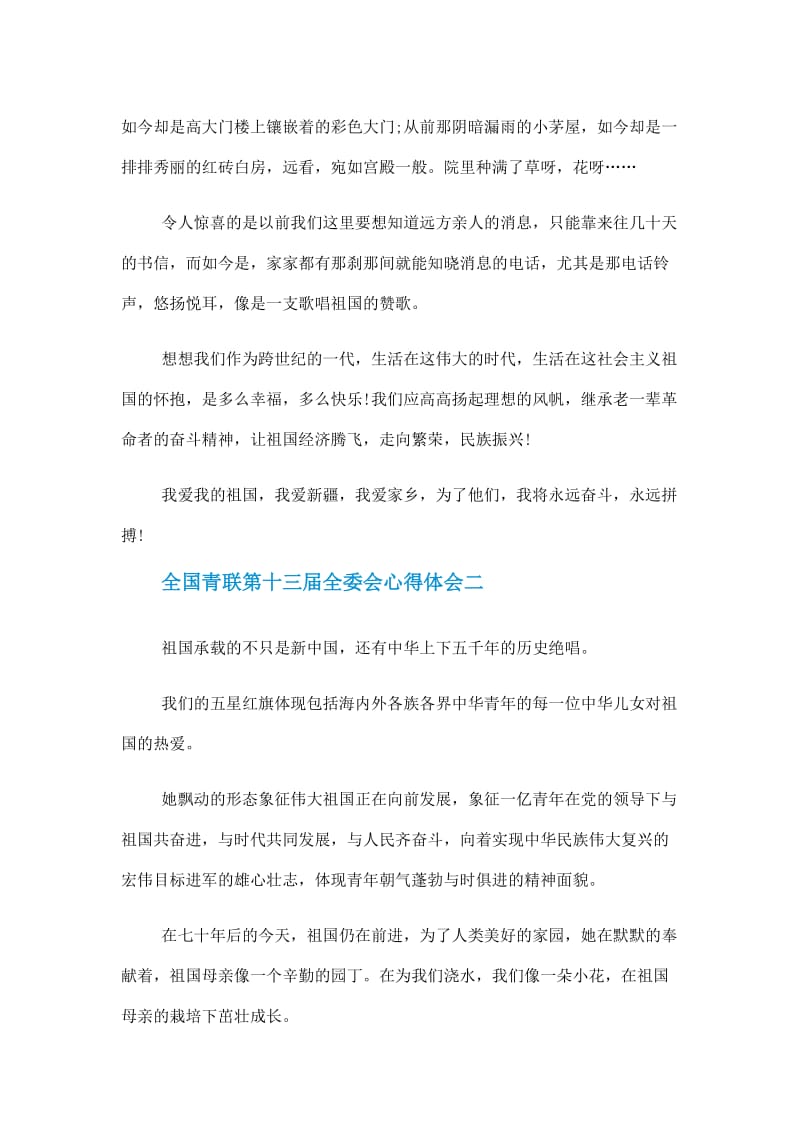 全国青联第十三届全委会心得体会感悟作文5篇.doc_第2页