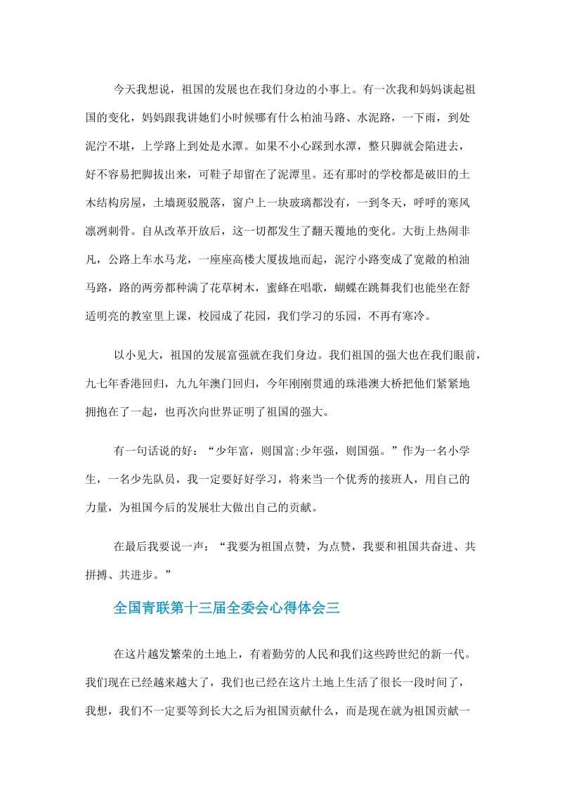 全国青联第十三届全委会心得体会有关作文600字精选5篇.doc_第3页