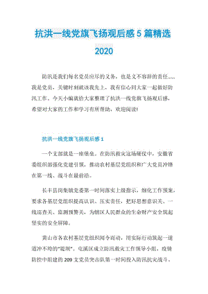 抗洪一线党旗飞扬观后感5篇精选2020.doc