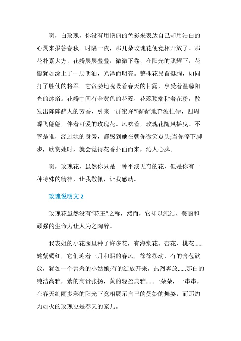 玫瑰说明文精选.doc_第2页