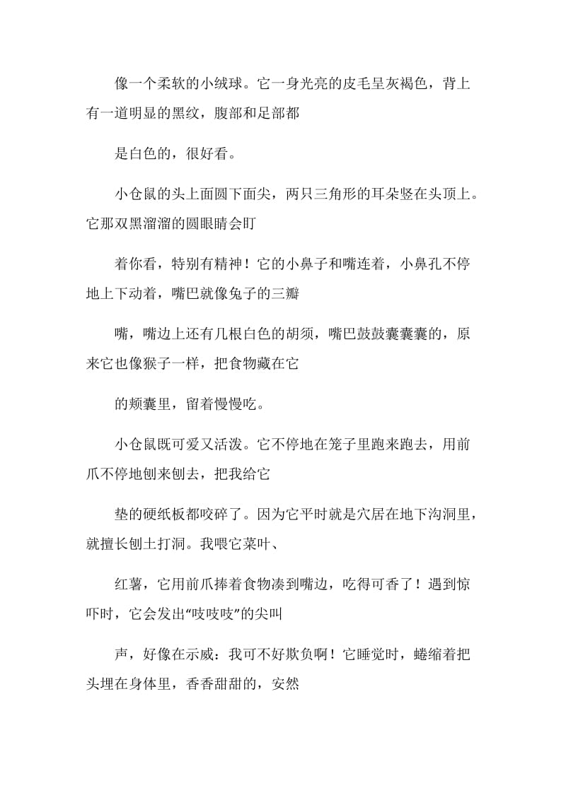 仓鼠说明文精选.doc_第3页