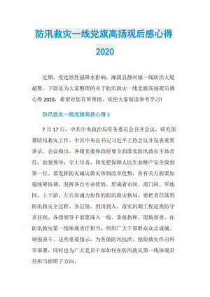 防汛救灾一线党旗高扬观后感心得2020.doc