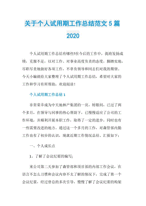 关于个人试用期工作总结范文5篇2020.doc