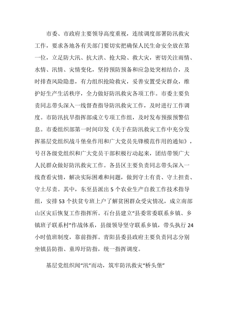 抗洪一线党旗飞扬观后感心得5篇精选2020.doc_第3页