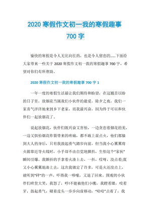 2020寒假作文初一我的寒假趣事700字.doc