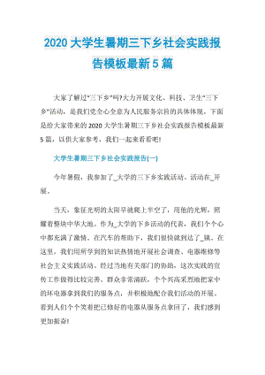 2020大学生暑期三下乡社会实践报告模板最新5篇.doc