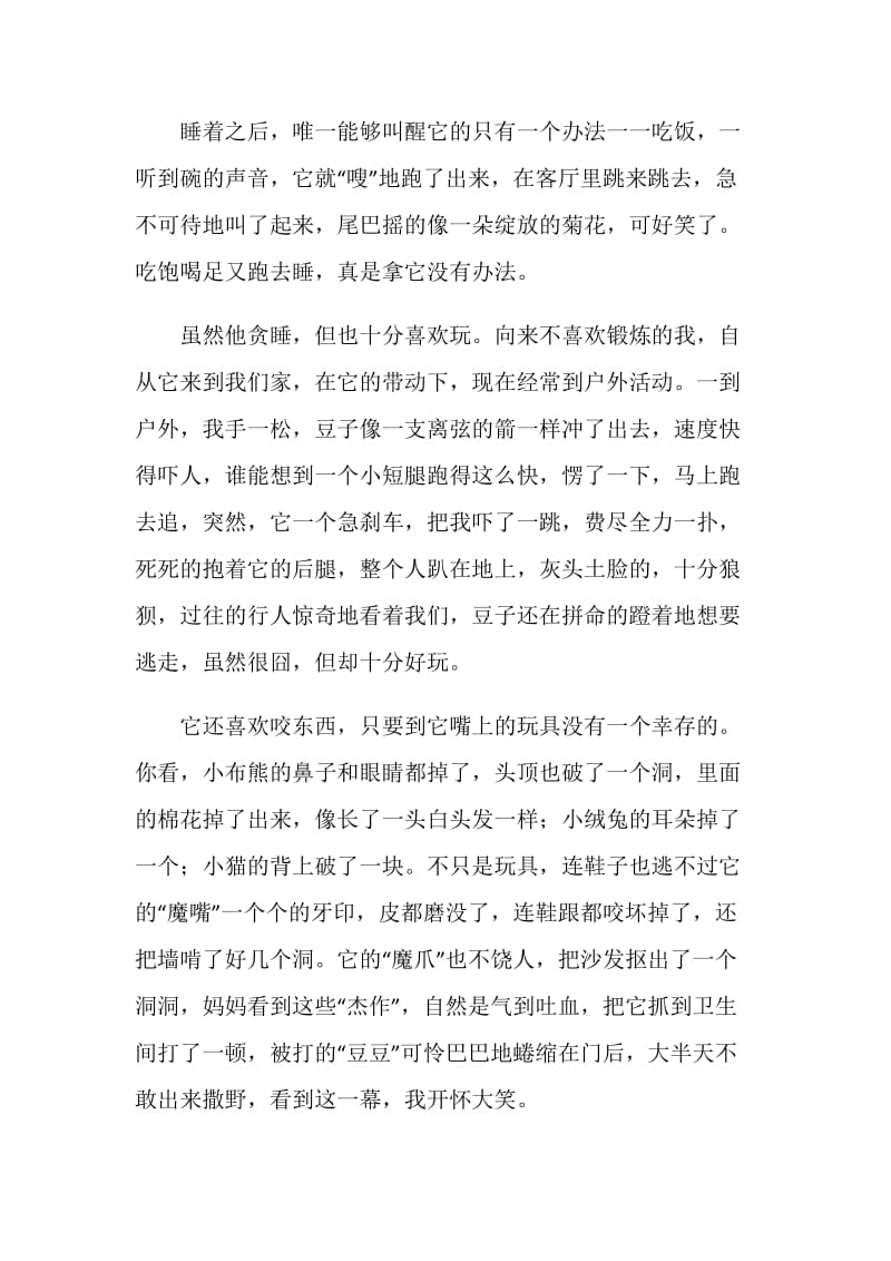 我的生活乐趣作文800字.doc_第2页