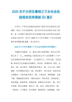 2020关于大学生暑假三下乡社会实践报告优秀模板【5篇】.doc