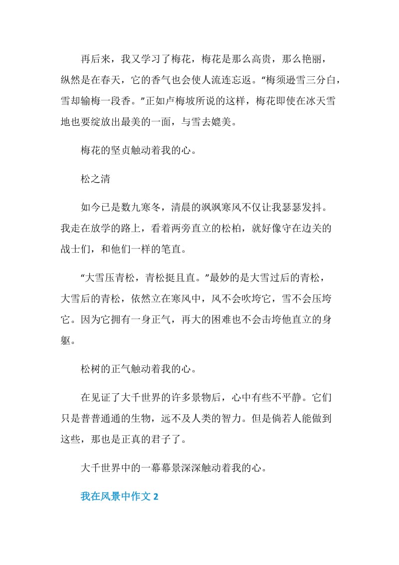 我在风景中作文600字初二.doc_第2页