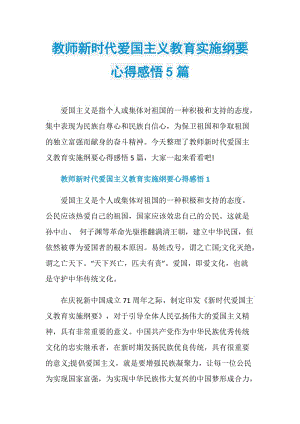 教师新时代爱国主义教育实施纲要心得感悟5篇.doc