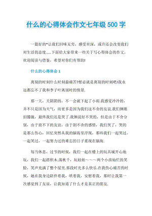 什么的心得体会作文七年级500字.doc