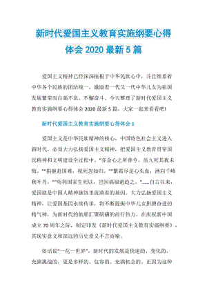 新时代爱国主义教育实施纲要心得体会2020最新5篇.doc