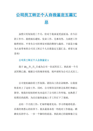 公司员工转正个人自我鉴定五篇汇总.doc