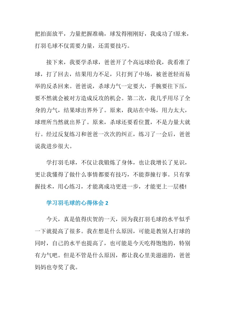 学习羽毛球的总结700字.doc_第2页