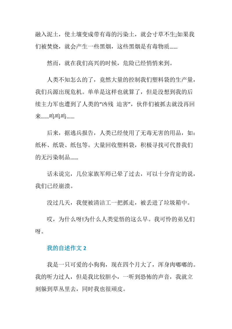 我的自述初一作文650字.doc_第2页