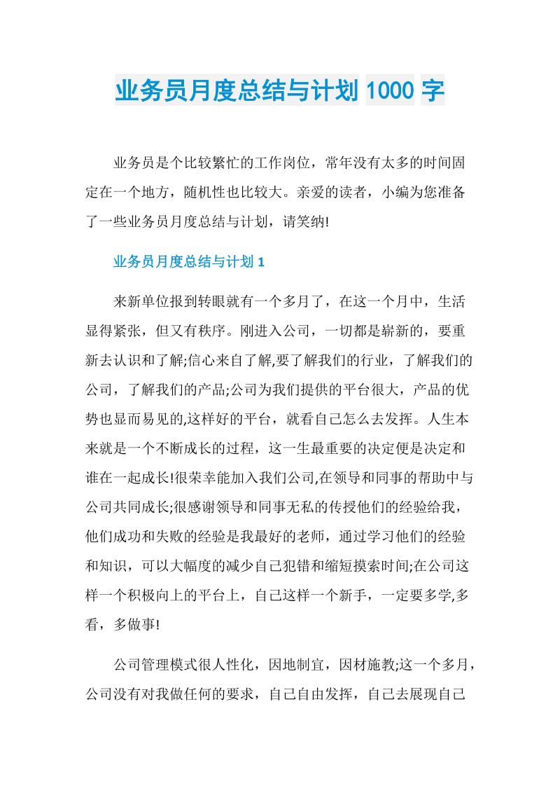 业务员月度总结与计划1000字.doc_第1页