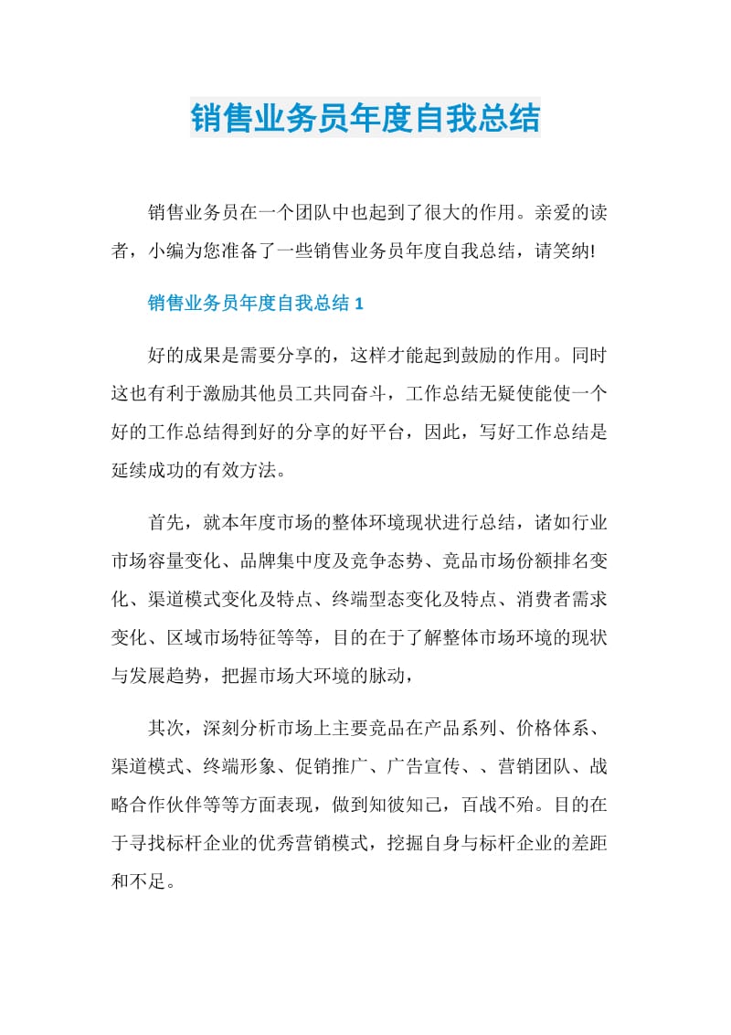 销售业务员年度自我总结.doc_第1页