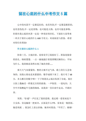 留在心底的什么中考作文5篇.doc