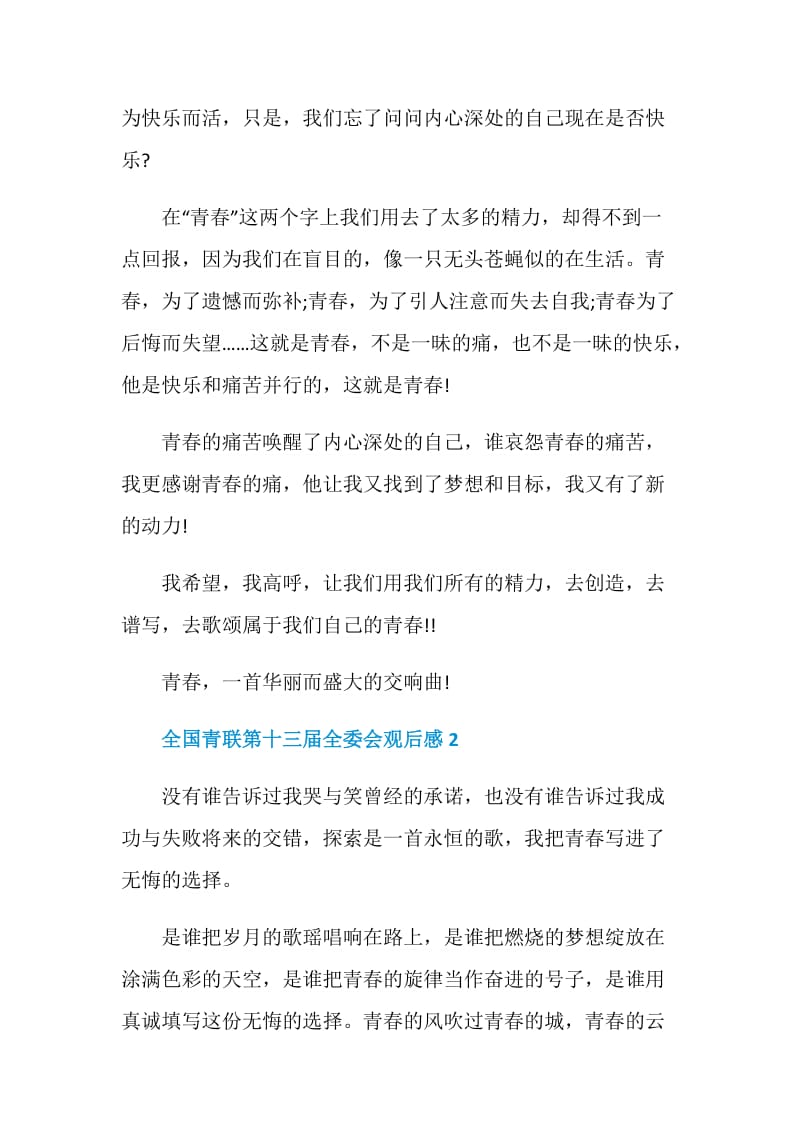 2020全国青联第十三届全委会观后感最新精选5篇.doc_第2页