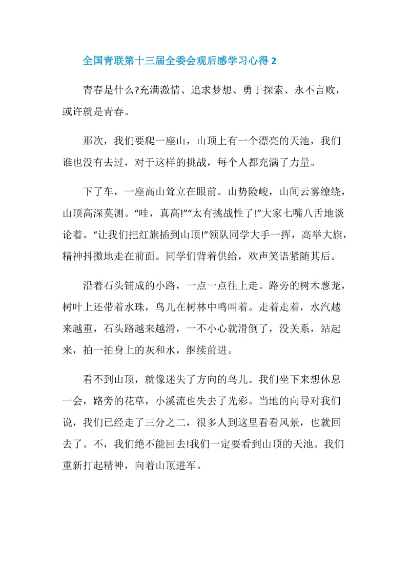 全国青联第十三届全委会观后感学习心得5篇精选.doc_第3页