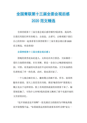 全国青联第十三届全委会观后感2020范文精选.doc