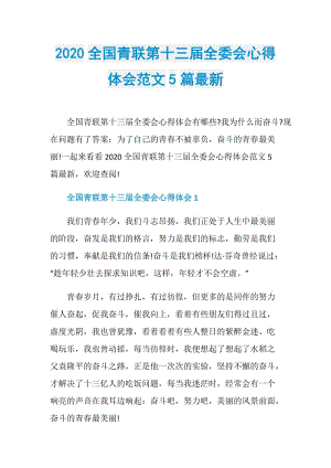 2020全国青联第十三届全委会心得体会范文5篇最新.doc