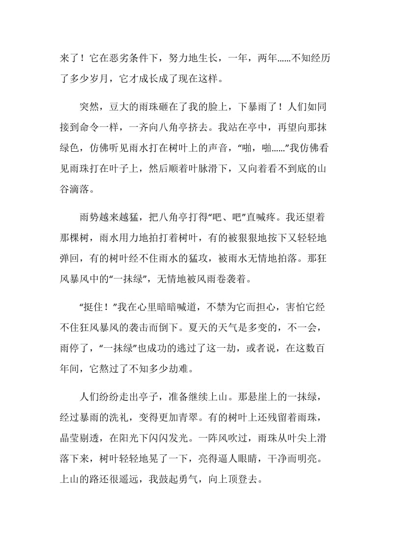 那不一样的美丽作文800字.doc_第2页