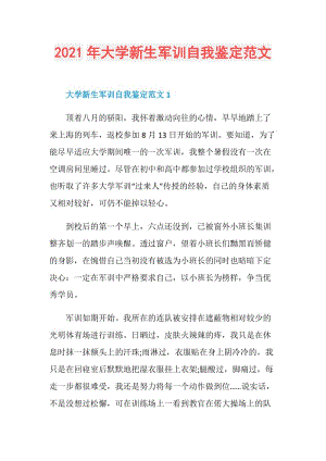 2021年大学新生军训自我鉴定范文.doc