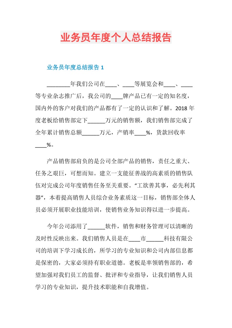 业务员年度个人总结报告.doc_第1页