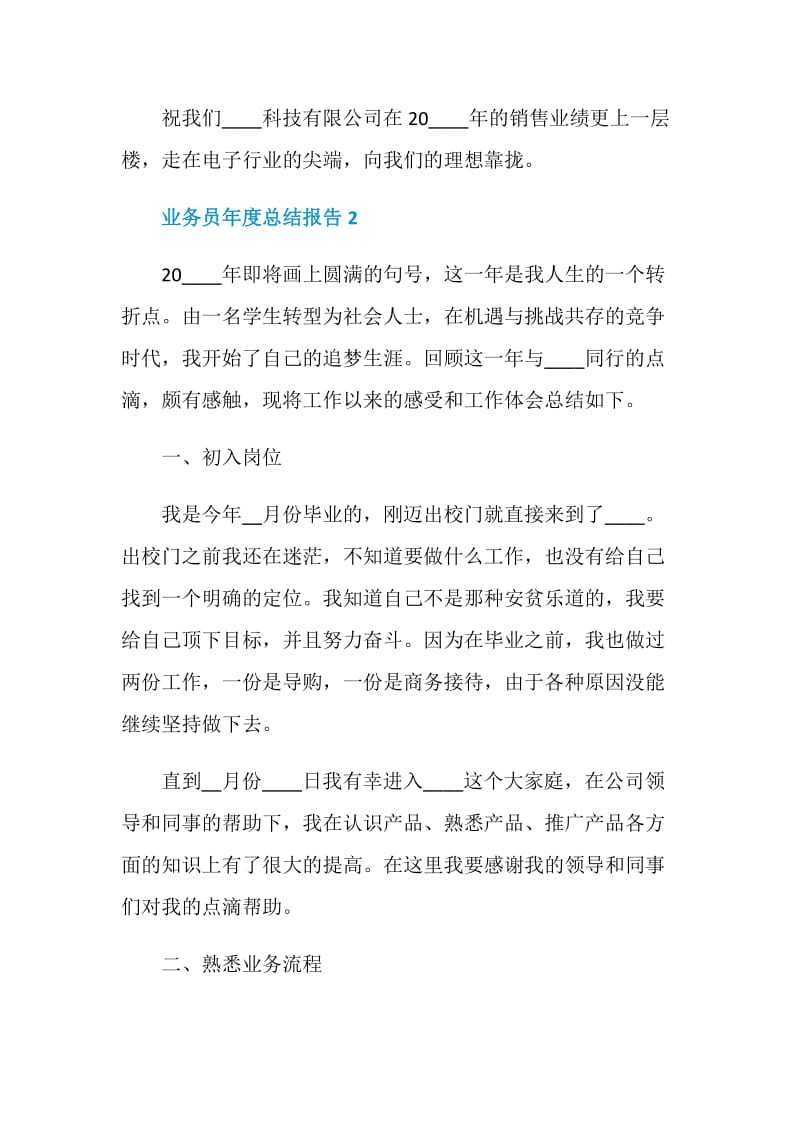 业务员年度个人总结报告.doc_第3页