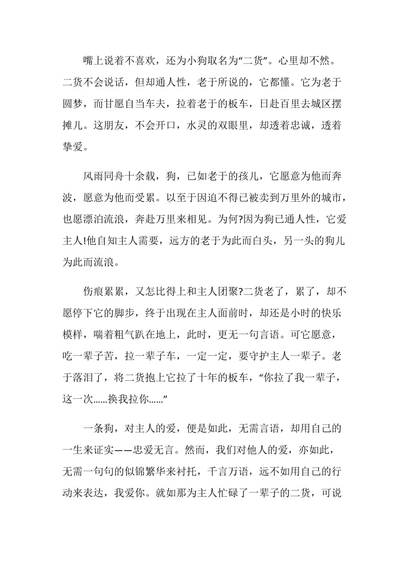 有关《忠爱无言》观后感600字.doc_第3页