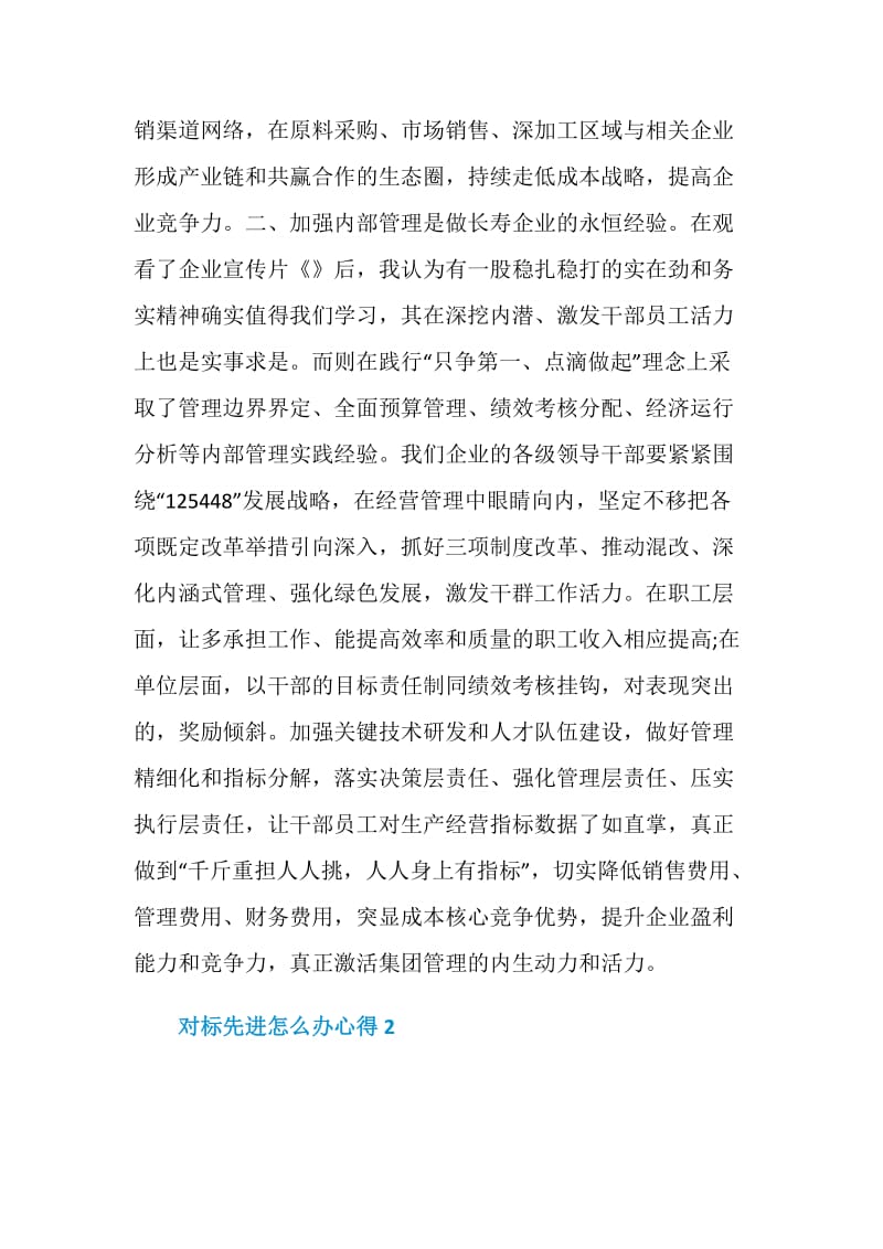 对标先进怎么办心得.doc_第2页