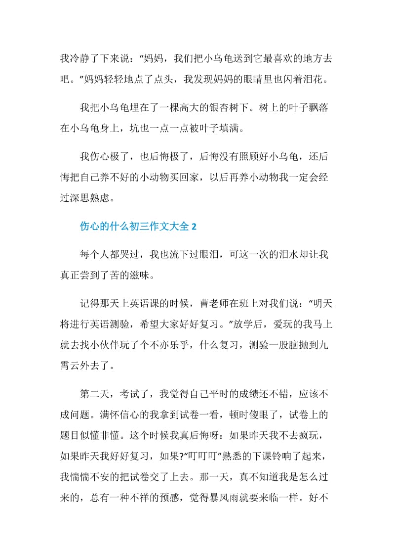 伤心的什么初三作文大全.doc_第2页