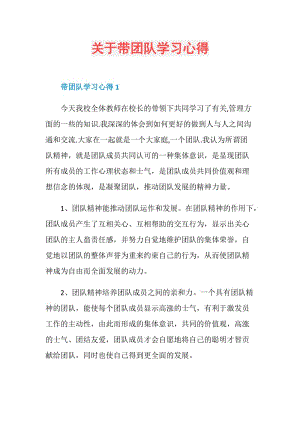 关于带团队学习心得.doc