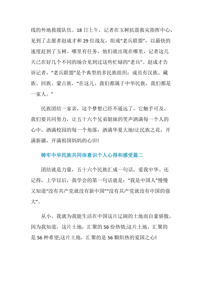 铸牢中华民族共同体意识个人心得和感受5篇.doc_第2页