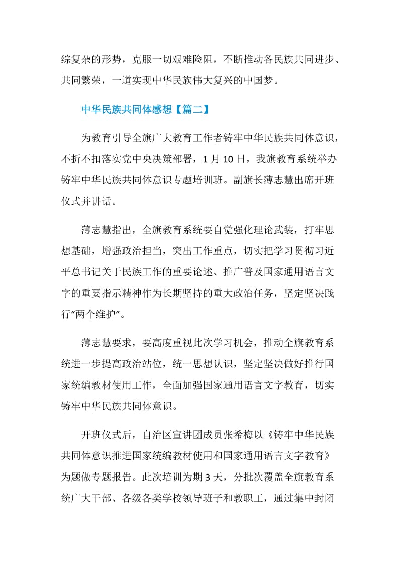 铸牢中华民族共同体意识大学生心得感悟.doc_第3页