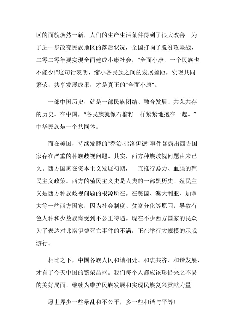 2021铸牢中华民族共同体意识小学生心得作文.doc_第2页