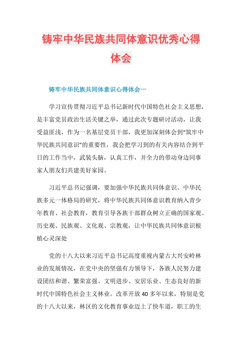 铸牢中华民族共同体意识优秀心得体会doc