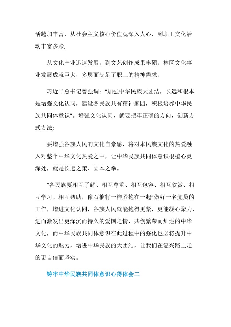 铸牢中华民族共同体意识优秀心得体会.doc_第2页