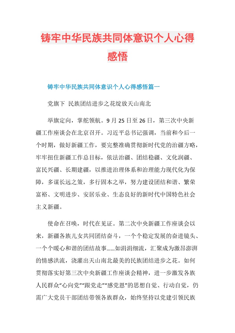 铸牢中华民族共同体意识个人心得感悟doc