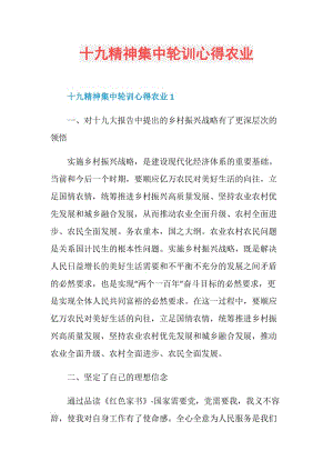 十九精神集中轮训心得农业.doc