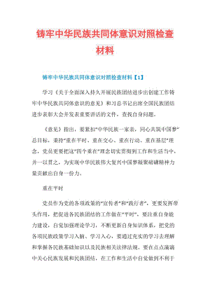 铸牢中华民族共同体意识对照检查材料.doc