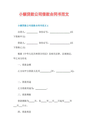 小额贷款公司借款合同书范文.doc