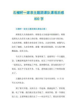 石榴籽一家亲主题团课队课观后感800字.doc