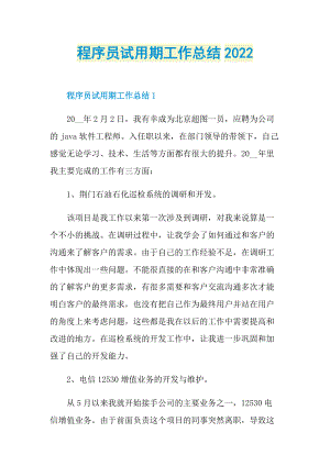 程序员试用期工作总结2022.doc