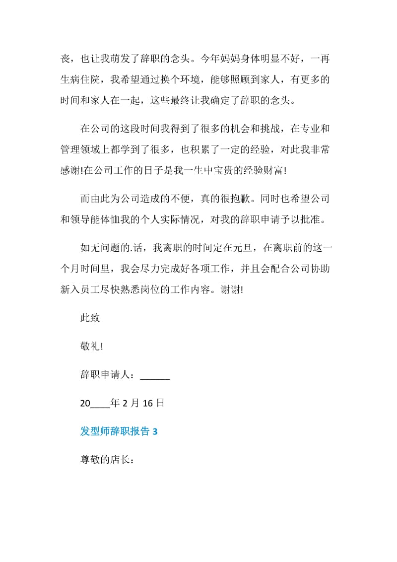 发型师年终工作辞职报告.doc_第3页