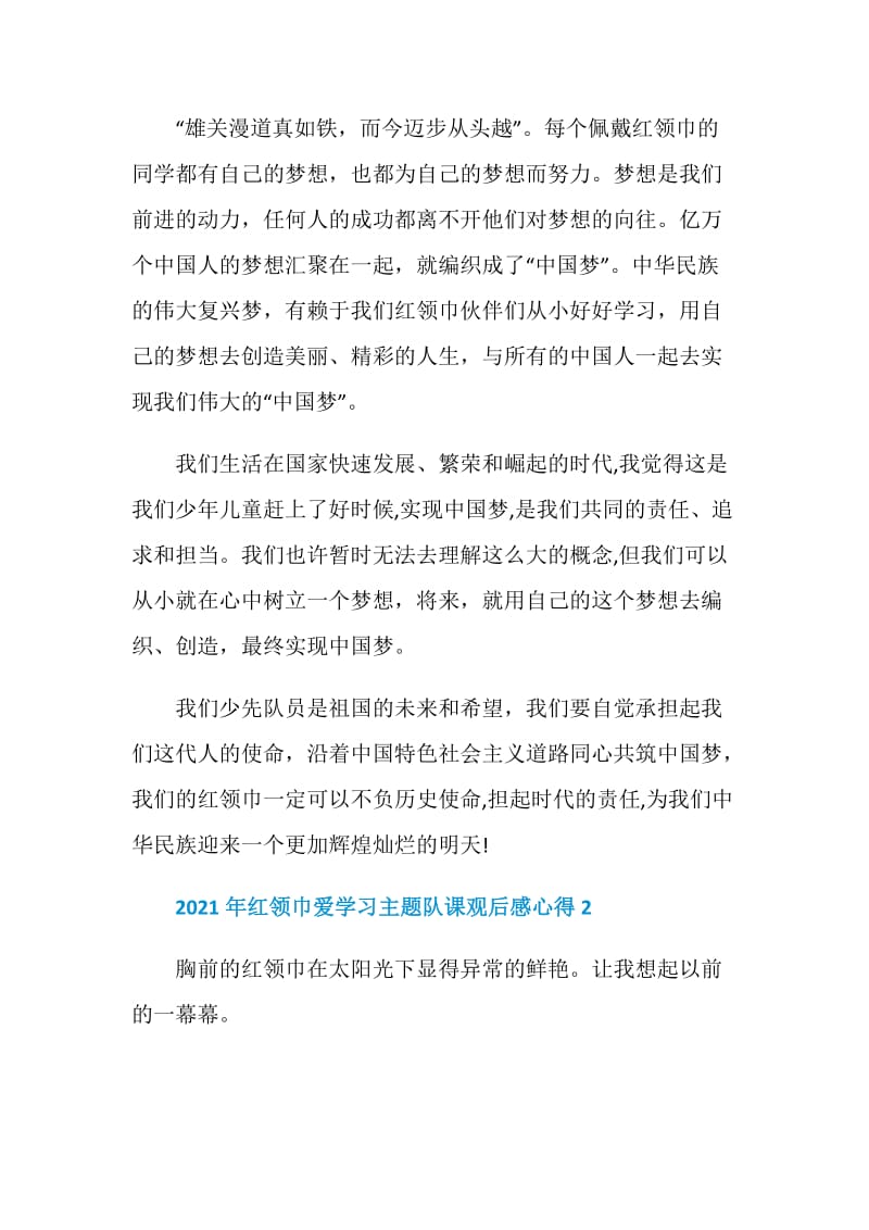 2021年红领巾爱学习主题队课观后感心得5篇.doc_第2页